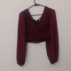 privy Burgundy V-Neck Cropped Blouse with Long Puff Sleeves